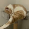 Photo of Jasper