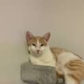 Photo of Jasper