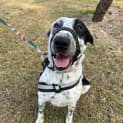 Photo of Polly