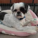 Photo of Lucy