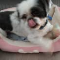 Photo of Lucy
