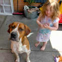Photo of Odie