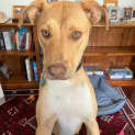 Photo of Lexie