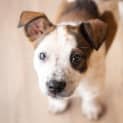 Photo of Skittles