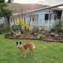 Photo of Rosie