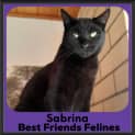 Photo of Sabrina 