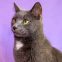 Photo of Oliver