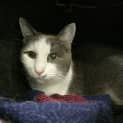 Photo of Skittles