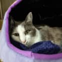 Photo of Skittles