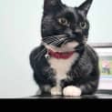 Photo of Thelma   Located In Fawkner