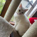 Photo of Amy
