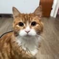 Photo of Ramsay Located In Cranbourne