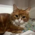 Photo of Ramsay Located In Cranbourne