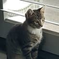 Photo of Stormy