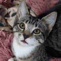 Photo of Stormy