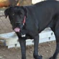 Photo of Molly
