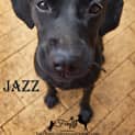 Photo of Jazz!!