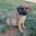 Photo of Alfred *On Trial In His New Home*