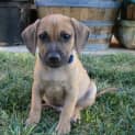 Photo of Alfred *On Trial In His New Home*