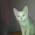 Photo of Clause