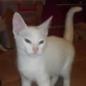 Photo of Clause