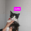 Photo of Lydia