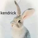 Photo of Kendrick