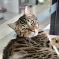 Photo of Neo