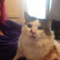 Photo of Kujo