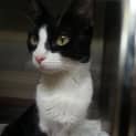 Photo of Tabitha 