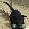 Photo of Narla