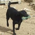 Photo of Narla