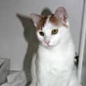 Photo of Sugar