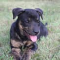 Photo of Heidi