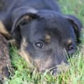 Photo of Heidi
