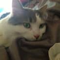Photo of Milo: Mr Smoochy **Winter Special**