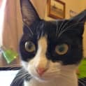 Photo of Tabitha 