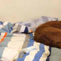 Photo of Tabitha 