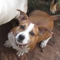 Photo of Bosley