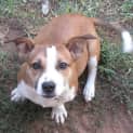 Photo of Bosley