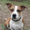 Photo of Bosley