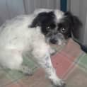 Photo of Ella