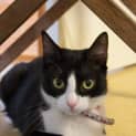 Photo of Tabitha 