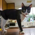 Photo of Tabitha 