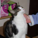 Photo of Cherie