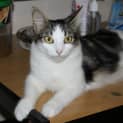 Photo of Cherie