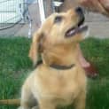 Photo of Paddington ~ A Cuddly Bear!