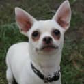 Photo of Marla