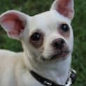 Photo of Marla