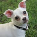 Photo of Marla